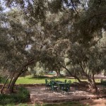 Berber_Lodge_Garden_Meals