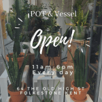 Pot_and_Vessel_plant_shop_in_Kent