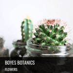 Boyes_Botanics