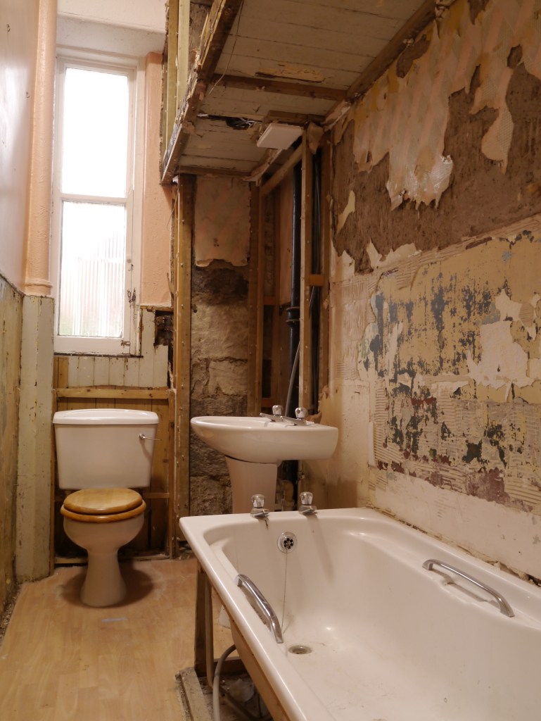 Liznylon_before_bathroom_with_drop_ceiling_and_false_walls