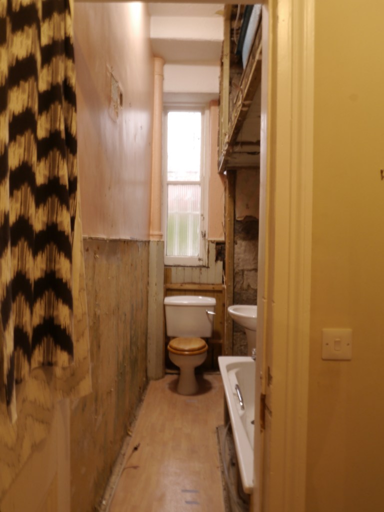 Liznylon_before_renovation_bathroom