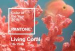 pantone_living_coral_colour_of_the_year_2019