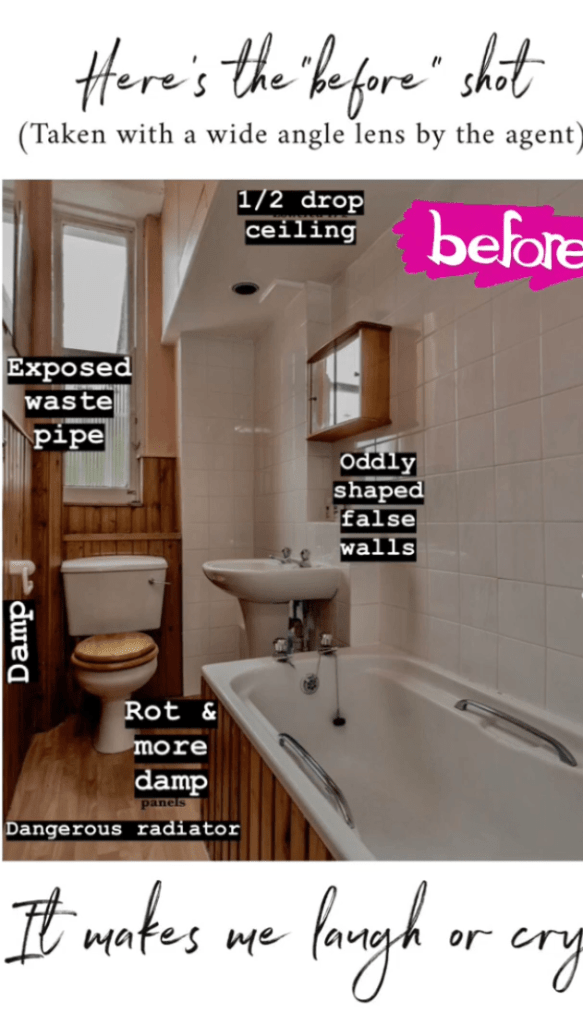 Liznylon_BEFORE_bathroom_renovation_the_problems