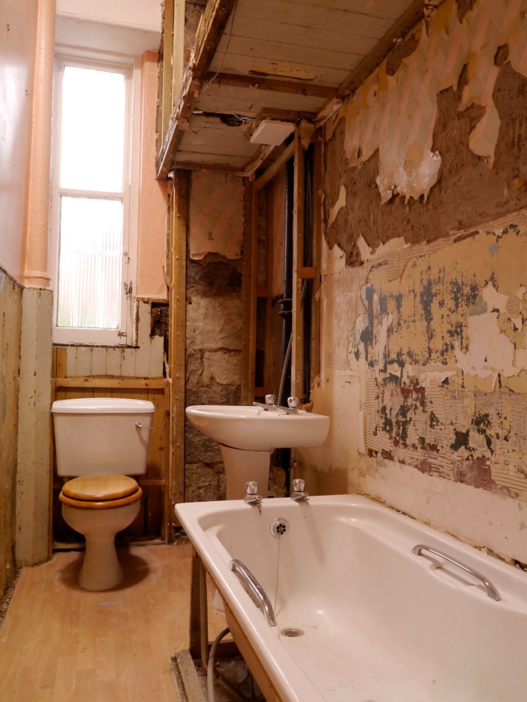 Liznylon_during_bathroom_renovation_with_drop_ceiling