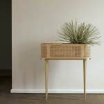 CPH101_HAKUBAR_cane_and_brass